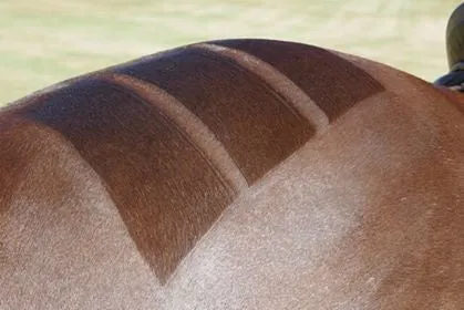 Double-sided mane/quarter-marking comb